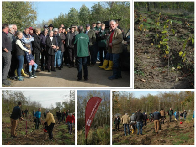 2019-10-26 – Collage Baumpflanzen mit Harmonie